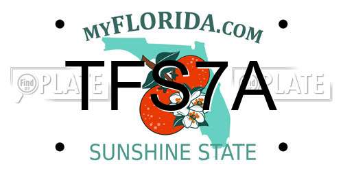 TFS7A Florida License Plate