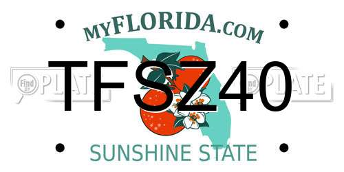 TFSZ40 Florida License Plate