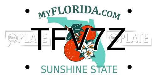 TFV7Z Florida License Plate