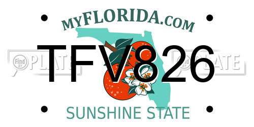 TFV826 Florida License Plate