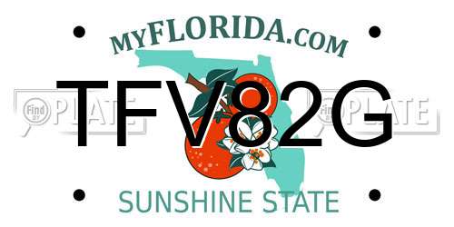 TFV82G Florida License Plate
