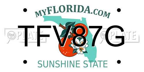 TFV87G Florida License Plate