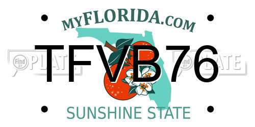 TFVB76 Florida License Plate