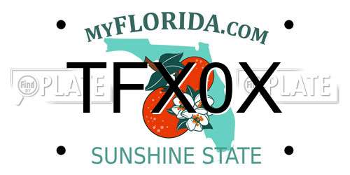TFX0X Florida License Plate