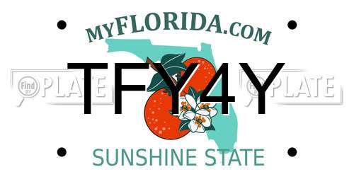 TFY4Y Florida License Plate