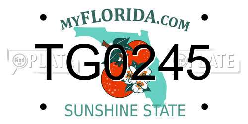 TG0245 Florida License Plate