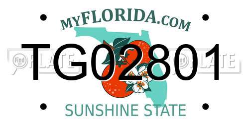 TG02801 Florida License Plate