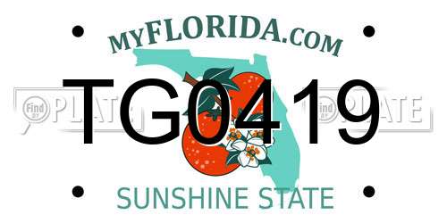 TG0419 Florida License Plate