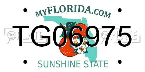 TG06975 Florida License Plate