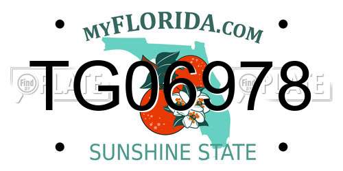 TG06978 Florida License Plate