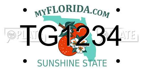 TG1234 Florida License Plate