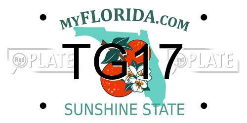 TG17 Florida License Plate