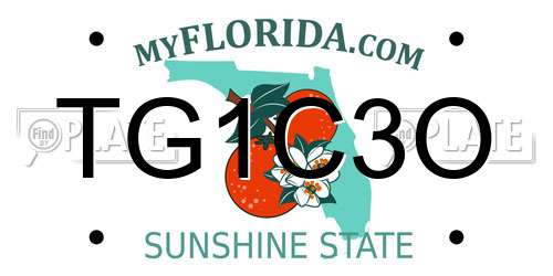 TG1C3O Florida License Plate