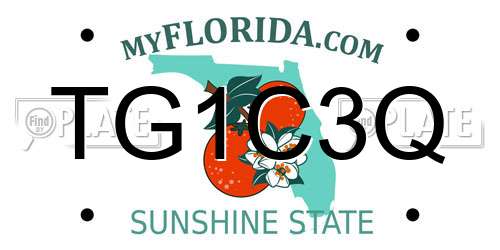 TG1C3Q Florida License Plate