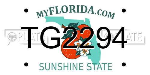 TG2294 Florida License Plate
