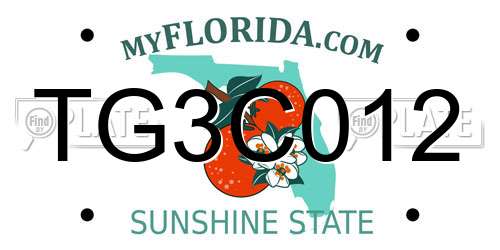 TG3C012 Florida License Plate