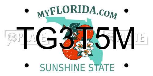 TG3T5M Florida License Plate