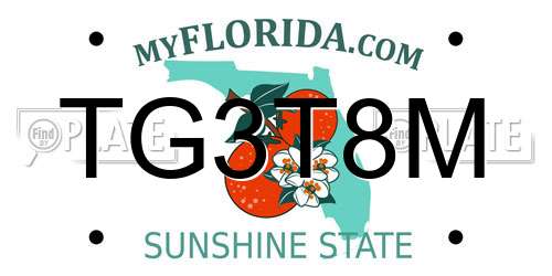 TG3T8M Florida License Plate