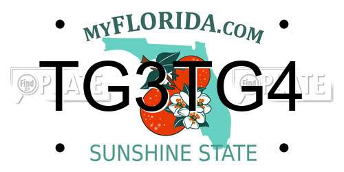 TG3TG4 Florida License Plate