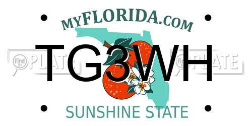 TG3WH Florida License Plate
