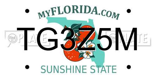 TG3Z5M Florida License Plate
