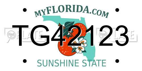 TG42123 Florida License Plate