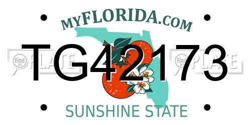 TG42173 Florida License Plate