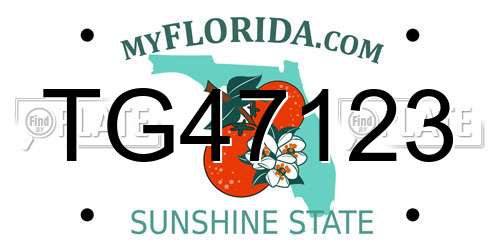 TG47123 Florida License Plate