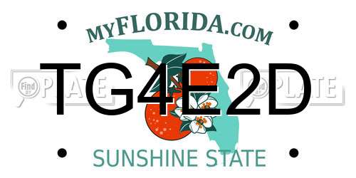 TG4E2D Florida License Plate