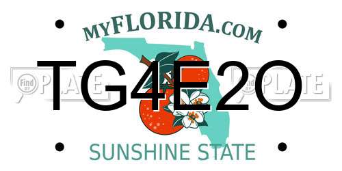 TG4E2O Florida License Plate