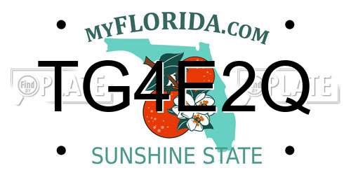 TG4E2Q Florida License Plate
