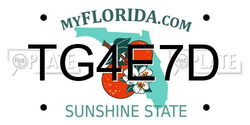 TG4E7D Florida License Plate