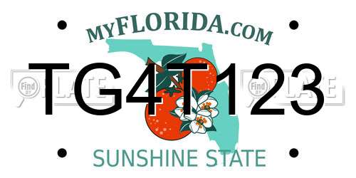 TG4T123 Florida License Plate