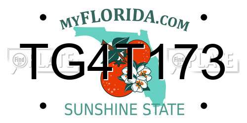 TG4T173 Florida License Plate