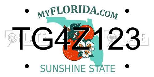TG4Z123 Florida License Plate