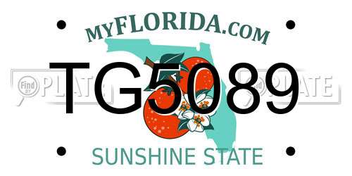 TG5089 Florida License Plate