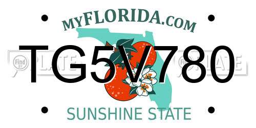 TG5V780 Florida License Plate