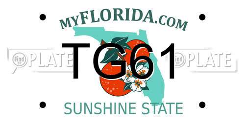 TG61 Florida License Plate