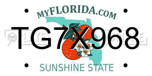 TG7X968 Florida License Plate
