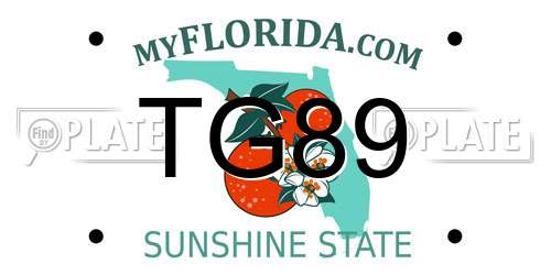 TG89 Florida License Plate