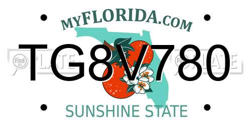 TG8V780 Florida License Plate