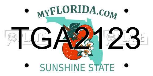TGA2123 Florida License Plate