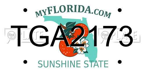 TGA2173 Florida License Plate