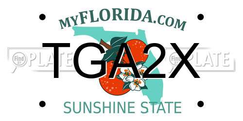 TGA2X Florida License Plate