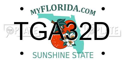 TGA32D Florida License Plate