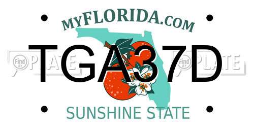 TGA37D Florida License Plate