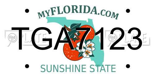 TGA7123 Florida License Plate