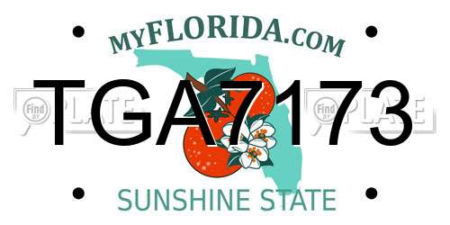 TGA7173 Florida License Plate
