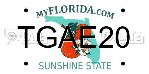 TGAE20 Florida License Plate
