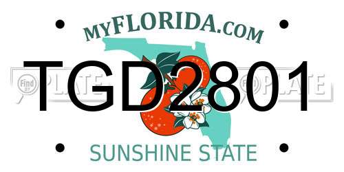 TGD2801 Florida License Plate